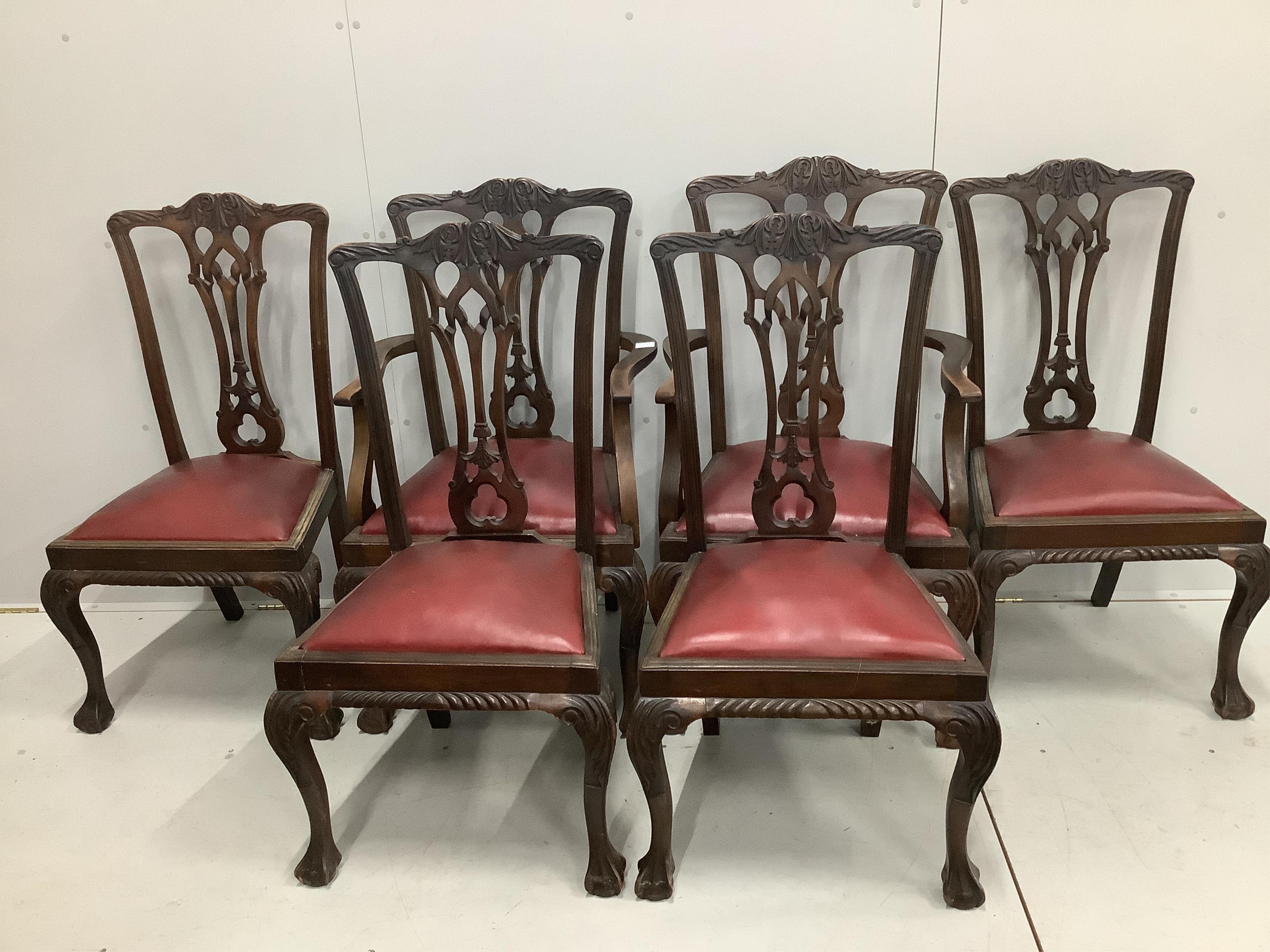A set of six early 20th century Chippendale style mahogany dining chairs, two carvers. Condition - poor